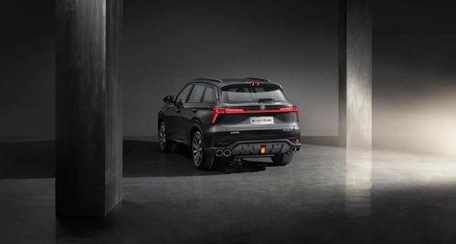 国产二,崛起中的民族品牌力量